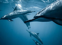 星空体育资讯-体育资讯全景:洞察运动世界的无限魅力